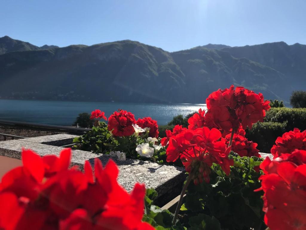 Angelina'S House With Lake View - Bellagio Exterior photo